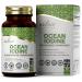 Ezyleaf Ocean Iodine Supplement 450mcg | 90 High Strength Sea Moss and Bladderwrack Potassium Iodide & Sea Kelp Capsules | Vegan Iodine Tablets | Non-GMO & Allergen Free | ISO Certified & UK Made