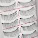 Adecco LLC 50 Pairs Natural Look Handmade False Eyelashes - Classical Taiwan Eye Lashes - Buy Online on GoSupps.com