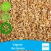 Certified Organic Oat Groats 500g by Fenbrook Organic - Pure and Natural - Buy Online on GoSupps.com