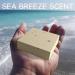 Natural American Goat Milk Bar Soap - Sea Breeze Scent | Made in USA | Organic Shea Butter | No Harmful Chemicals | 3pk Bars for Sensitive Skin - Buy Online on GoSupps.com
