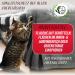 Nature Animal Anti-Scratch & Cat Defense Spray | Indoor & Outdoor Cat Repellent - Buy Online on GoSupps.com