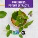 New Chapter Holy Basil Force - 120 Vegetarian Capsules for Stress Relief & Wellness - Buy Online on GoSupps.com