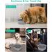 Pettom 2L Leakproof Dog Water Bowl | Non-Slip Travel-Friendly Design for Dogs | Antilabber & Large Black Pet Dispenser - Buy Online on GoSupps.com