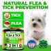Flea and Tick Prevention Chewables for Dogs - Made in USA - Natural Supplement for All Breeds - Oral Flea Pills - Mess-Free & Collar-Free Solution - Buy Online on GoSupps.com