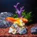 TAOMYPETS Coral Decor for Aquariums | Resin Coral Reef Ornaments - Enhance Your Aquarium with Stunning Underwater decoration - Buy Online on GoSupps.com