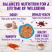 Wellness Complete Health Grain-Free Wet Cat Food - Chicken & Herring Pate, 5.5 oz Can (Pack of 24) - Natural Ingredients, Made in USA - Buy Online on GoSupps.com