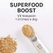 Host Defense Cordyceps Powder 3.5 oz - Energy, Stamina, Athletic Performance Mushroom Supplement - Buy Online on GoSupps.com