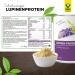 Raab Vitalfood Organic Lupine Protein Powder - 43% Vegan Protein from Sweet European Lupins 100g - Buy Online on GoSupps.com