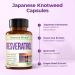 Japanese Knotweed Capsules - Resveratrol Supplement with 1000mg Japanese Knotweed Green Tea Extract Quercetin Grape Extract. Potent Antioxidant for Healthy Aging & Cardiovascular Support. 60 Caps - Buy Online on GoSupps.com