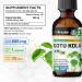 BIO KRAUTER Gotu Kola Tincture 2 Fl. Oz. & Pine Bark 60 Gummies - Buy Online on GoSupps.com