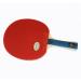 Palio Master 2.0 Table Tennis Racket & Case - ITTF Approved - Flared Handle for Intermediate Players - Buy Online on GoSupps.com