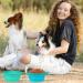 Slson Portable Silicone Dog Travel Bowl - 2-Pack Foldable 600ml for Hiking & Camping (Light Blue & Green) - Eco-Friendly & Durable - Buy Online on GoSupps.com