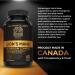 Organic Lion's Mane Mushroom Capsules - Nootropic Mushroom Supplements Formulated With 40% Polysaccharides & 20% Beta-Glucan! Immunomodulating Properties & A Potent Source Of Antioxidants. Supports Memory Cognition & Brain Health - 60 Capsules 60 count (P - Buy Online on GoSupps.com