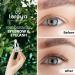 loroya - The original eyelash oil 6 ml - natural oil with vitamin A E F - more length and density - accelerates growth - strong eyelashes with shine - Buy Online on GoSupps.com