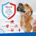 Adams Plus Flea & Tick Shampoo with Precor for Cats, Dogs & Puppies - 1 Gallon | Sensitive Skin Formula | Kills Adult Fleas, Eggs, Ticks, Lice | For Pets Over 12 Weeks - Buy Online on GoSupps.com