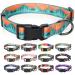 Heele dog collar dogs collar for puppies Small medium-sized large dogs patterned dog collars adjustable comfort robust dog collar wilderness L l (length 40.5-65cm width 2.5cm) Wildnis