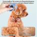 Knotenkamm Hair Removal Tool - 2 Pack Pet Massage Combs for Cats & Dogs | Shedding Brush & Portable De-Filtering Comb (Blue & Green) - Buy Online on GoSupps.com