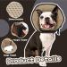 Buy Kuoser Rechenrause Dog Collar - Comfortable Leakage Protection & Adjustable Design | Prevent Bites & Leaking Wounds for Dogs - Available in Brown (Neck Circumference: 34-40cm) - Buy Online on GoSupps.com