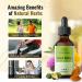 HERBAMAMA Liver Cleanse & Repair Liquid Drops - Herbal Supplement w/ Dandelion & Milk Thistle for Liver Detox - 2 fl. Oz Bottle - Buy Online on GoSupps.com
