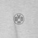 Shop Borussia Dortmund BVB Hoodie Essentials | Grey Basic Pullover S-3XL - International Shipping Available - Buy Online on GoSupps.com