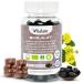 Gummies Shilajit Pur Bio Shilajit Himalaya Boost m tabolisme Libido et Energie Acide Fulvique Soutien Immunitaire pour hommes et femmes compl ment alimentaire 100% Naturel