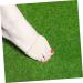 Silicone Gel Toe Stretcher & Bunion Relief Separator - Medium Size - Buy Online on GoSupps.com
