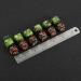 48pc Token Dice Counters & Loyalty Dice Set for MTG Card Gaming - Ruby& Black, Emerald& Black - Buy Online on GoSupps.com