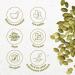 Graines de Courge crues Monte Nativo (500g) - Graines de Courge nature - Pumpkin Seeds raw - pices aromatiques s ch es avec soin id ales pour Cuisiner et Assaisonner - Ar me et Go t intenses Graines de citrouille 500 g (Lot de 1) - Buy Online on GoSupps.com
