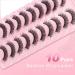 10 Pair Russian Strip Fake Lashes | Natural Look Cat Eye 3D Curly D Curl Eyelashes - LTJ35 - Buy Online on GoSupps.com