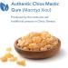 Allergy Research Group Mastica Chios Gum Mastic - 240 Vegetarian Capsules for Digestive Health - Buy Online on GoSupps.com