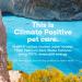 Eco-Friendly Pet Stain & Odor Remover | Natural Formula 32 fl oz - Buy Online on GoSupps.com