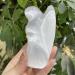 Natural White Selenite Gypsum Angel Quartz Rough Minerals SpecimenHome Decor Can be Used for (Size : 8cm) HOMEZHOU (Size : 8cm) - Buy Online on GoSupps.com