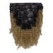 Anrosa 10 Inch Blonde Afro Kinky Curly Clip in Hair Extensions - 120g Human Hair 4A 4B for Black Women, 1B Ombre 1B/27 - Buy Online on GoSupps.com