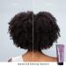 Pureology Hydrate Soft Softening Treatment - Nourishing Sulfate-Free Vegan Treatment for Dry Color-Treated Hair - 6.7 Fl. Oz - Buy Online on GoSupps.com