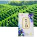 Socobeta Grape Oolong Tea 24pcs Cold Brew Fruit Tea Bags for Casual Drinks in The Morning and Afternoon Free Time kitchen Home Appliances - Buy Online on GoSupps.com