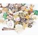 70+ pcs Famoby Sea Shells & Starfish for DIY Crafts & Beach Theme Decor - Buy Online on GoSupps.com