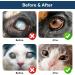 Cataract Eye Drops for Dogs Pets Eye Drops Effective Dog Eye Infection Treatment Cats Eye Cleaner Cataract Eyedrops Improve Vision Clarity Relieve Red Eyes & Allergy Symptoms (2 x 0.35fl.oz) Blue - Cataract Eyedrops for Dogs (2 Bottle) - Buy Online on GoSupps.com