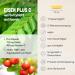 Vegan Vegetable Iron with 40mg Natural Vitamin C from Acerola | 100% NRV | 2-Month Supply | 1 Capsule Daily | Glass Packaging - Buy Online on GoSupps.com