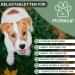Pfotengut Relax Tablets - Natural Dog Sedative with Taigawurzel Valerian & Hemp | 120 Made in Germany | 2023 Improved Formula - Buy Online on GoSupps.com