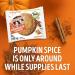 Lenny & Larry's Pumpkin Spice Complete Cookie - 16g Plant Protein, Vegan, Non-GMO - 4oz (Pack of 12) - Buy Online on GoSupps.com