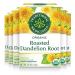 Traditional Medicinals Organic Roasted Dandelion Root Herbal Leaf Tea, 16 Tea Bags (Pack of 6) Roasted Dandelion Root 16 Count (Pack of 6)