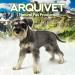 Arquivet Soft Snacks for Dogs - Chicken Bone Treats 300g - Ideal International Shipping - Buy Online on GoSupps.com