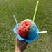 100 Pcs Colorful Flower Cups Reusable Cone Flower Drip Cups Small Bowls Snow Cone Supply Shaved Ice Snacks Ice Cream Bowls with 100 Pcs Cone Spoon Straws (Random Color) - Buy Online on GoSupps.com