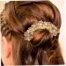 minkissy Hair Jewelry Wedding Accessories for Brides Rhinestone Hair Comb Hair Side Combs Decorative Hair Combs for Women Accessories Comb Headband Ponytail Miss Rhinestones Petal - Buy Online on GoSupps.com