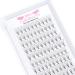 Pre Made Fan Eyelash Extensions 6D-D-0.07-12 Pointy Base Premade Fans Eyelash Extension 0.05 0.07 0.10 Lash Extensions Pre Fanned Russian Volume Lashes C D curl(6D-D-0.07-12) 12 mm 6D-D-0.07-DM