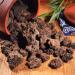 200g de th Pu-Erh m r naturel th noir Yunnan Puer Mini Tuocha saveur Boisson aux herbes