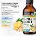 BIO KRAUTER Ginger Root - Liquid Drops Ginger Extract 655 mg per Serving 4 Fl.Oz 56-Day Supply - Pure Vegan Zingiber Officinale for Digestive Support & Daily Wellness - Alcohol & Sugar Free 4 Fl Oz (Pack of 1) - Buy Online on GoSupps.com