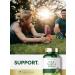 Carlyle Milk Thistle 2000mg Capsules with Dandelion & Yellow Dock - 180 Count - Non-GMO, Gluten Free - Buy Online on GoSupps.com