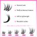 VEYESBEAUTY Lash Clusters - Fluffy Individual Lash Extensions | 3D Layered Volume Eyelashes | Wispy Faux Mink | Mixed Length 10-18mm | Perfect for Beginners - Buy Online on GoSupps.com