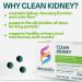 Elements Clean Kidney 60 Tablets (30 Day Supply) Supports Normal Kidney and Urinary Tract Function Gluten Free  - Buy Online on GoSupps.com